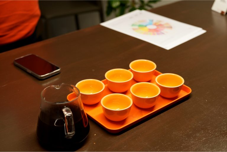 게이샤원두 가격 완벽 가이드 - 등급별 가격대와 선택 기준